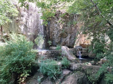 Chaghour Hamana - Restaurant — photograph 6