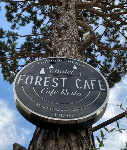 Forest Cafe — photograph 2