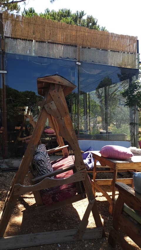 Forest Cafe — photograph 6