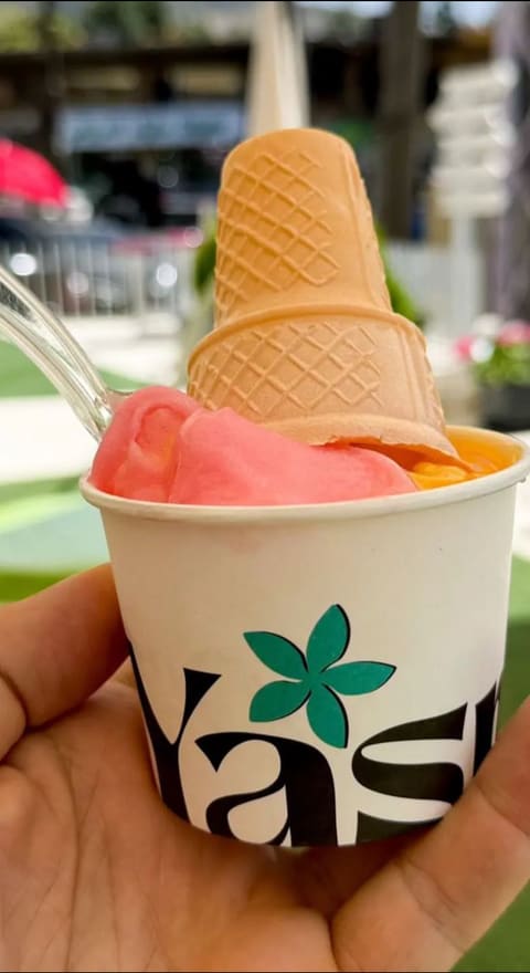 Yasmina Ice Cream — photograph 5