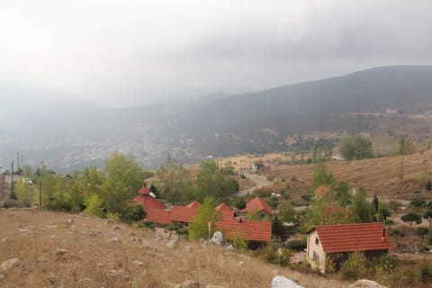 Soha Village resort — photograph 3