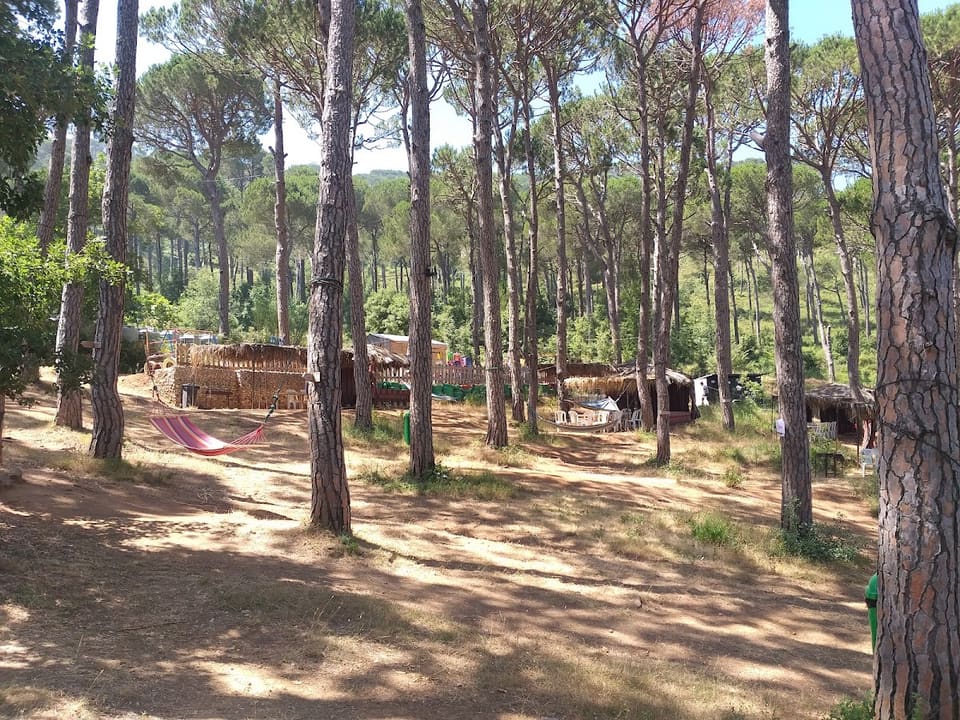Panda Park