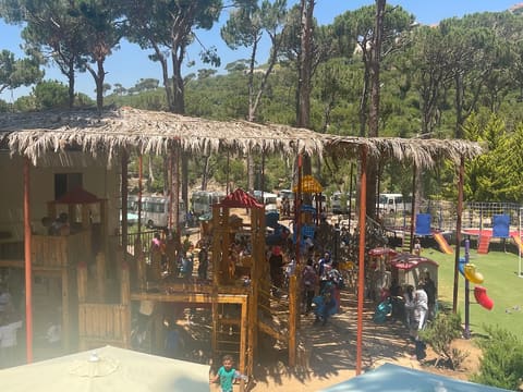Panda Park — photograph 3