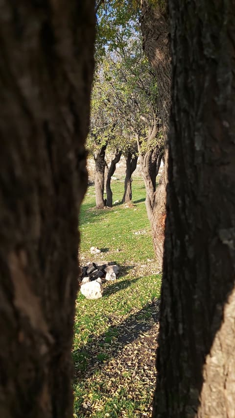 Secret Heart - Lamartine - Falougha — photograph 2