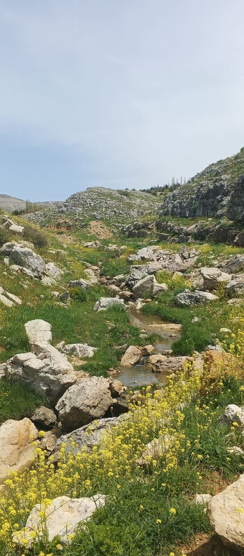 Mdeirej - Dahr el Baidar — photograph 3