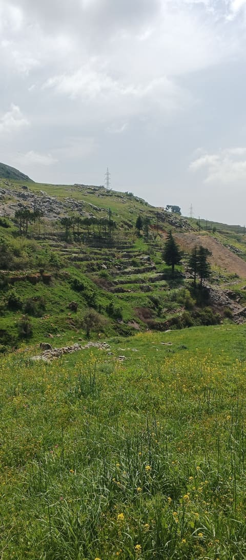 Mdeirej - Dahr el Baidar — photograph 4
