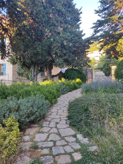 Hammana Park — photograph 2
