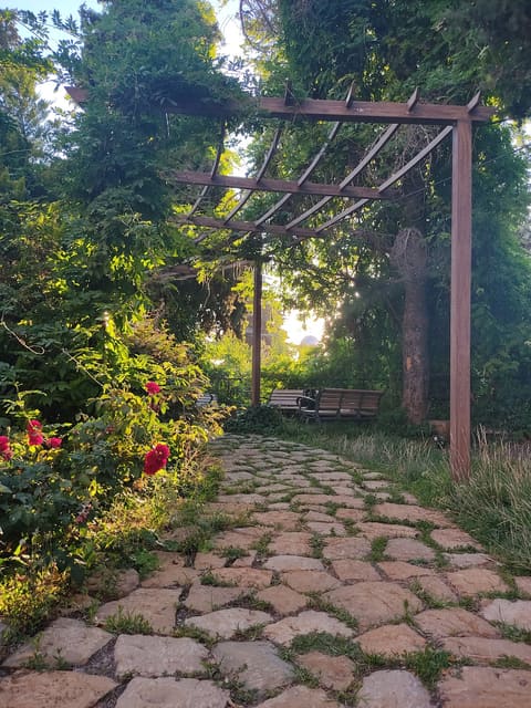 Hammana Park — photograph 4