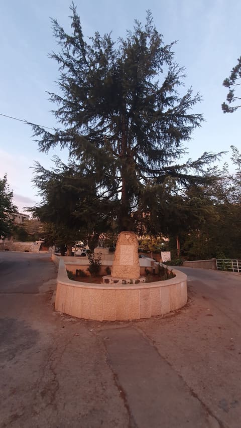 Falougha Main Natural Water Spring — photograph 2