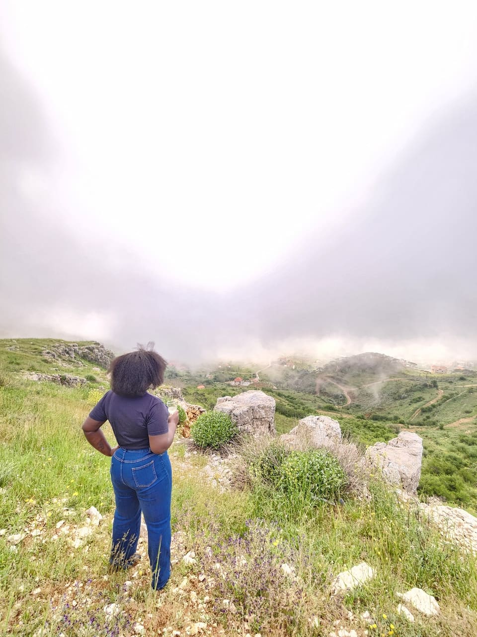 Qsunset Falougha