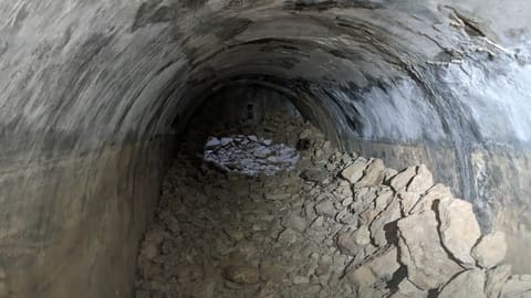 French Bunker — photograph 3