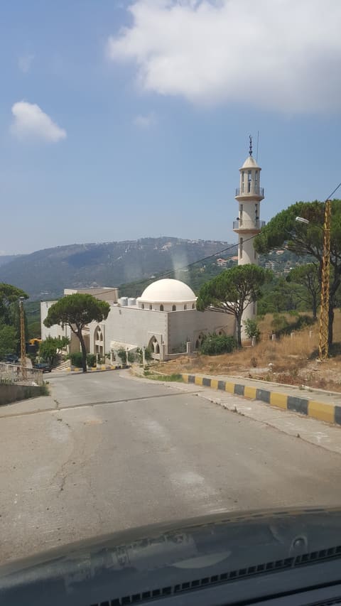 Badriya Al Dabous Mosque — photograph 3