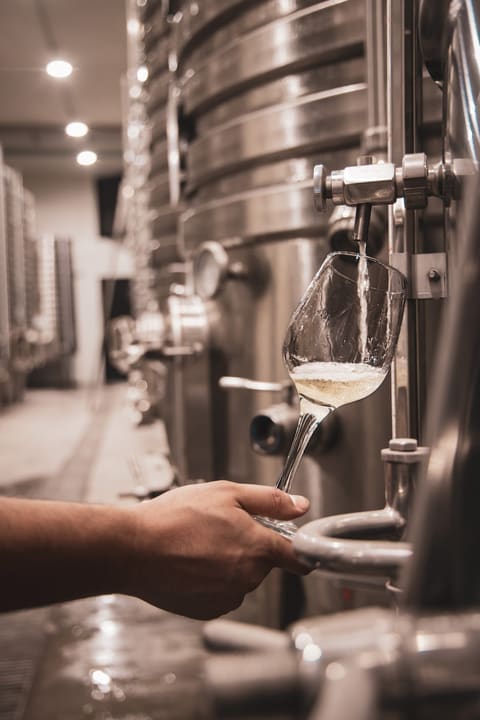 Chateau Trois Collines / winery — photograph 3