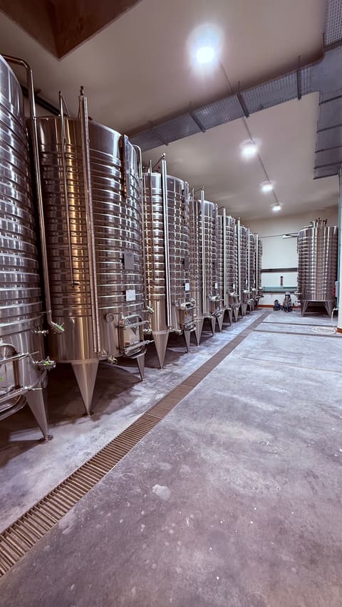 Chateau Trois Collines / winery — photograph 5