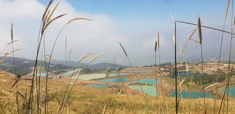 Saydeh Natural Water Spring — photograph 4