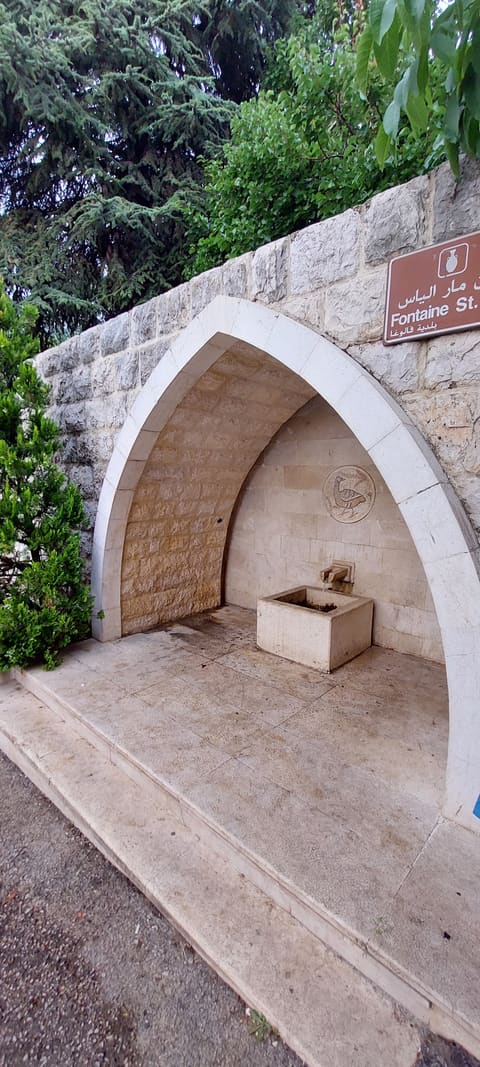Saydeh Natural Water Spring — photograph 5