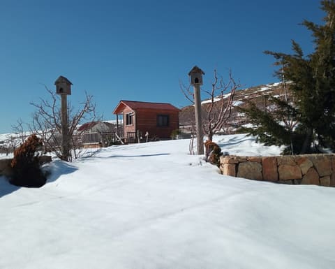 Views Bungalow — photograph 5