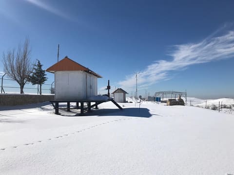 Pierre's Island — photograph 5