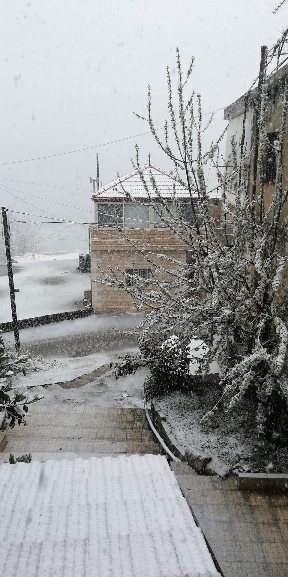 Elias Haddad Residency