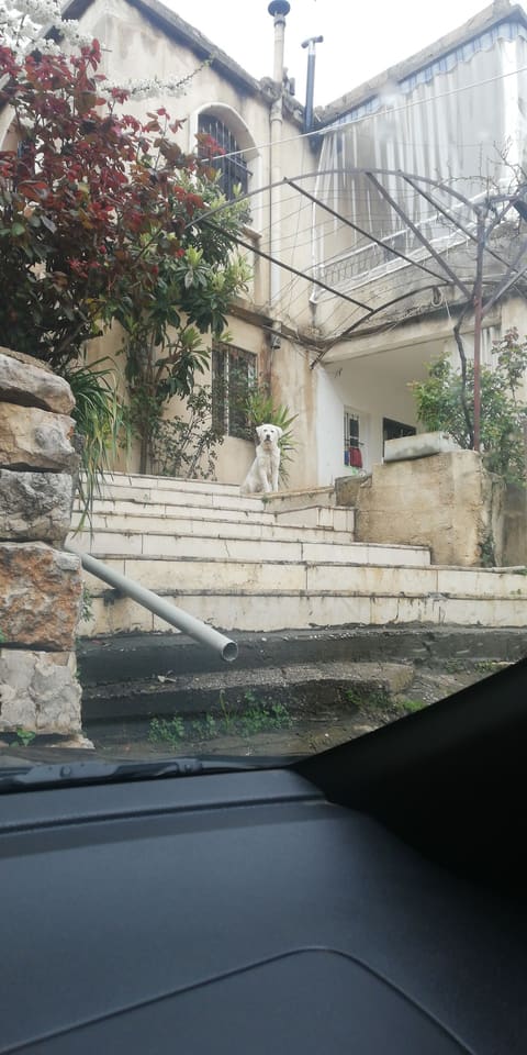Elias Haddad Residency — photograph 2