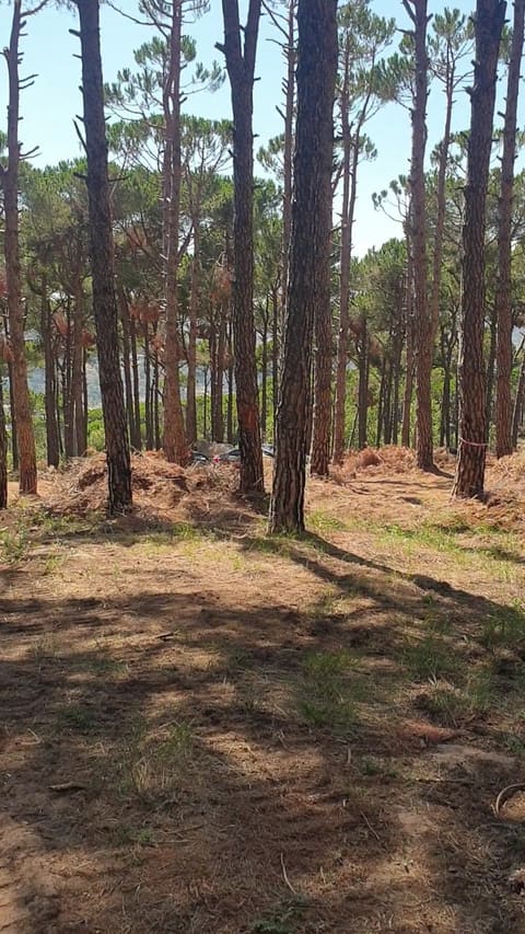 The Jungle Campsite — photograph 2