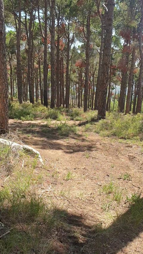 The Jungle Campsite — photograph 4