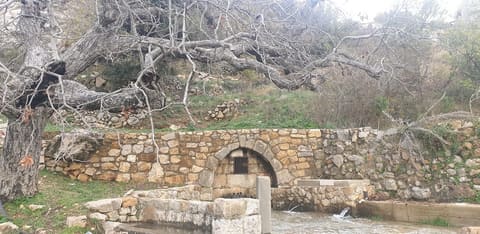 Azzouniye — photograph 2