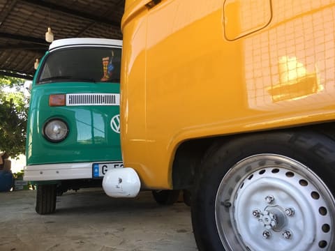 THE BEETLE YARD — photograph 2
