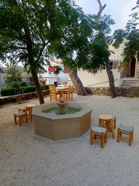 ELMAYSSEH — photograph 4