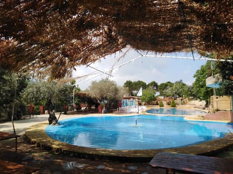 JANA AL WEDYAN RESORT — photograph 2