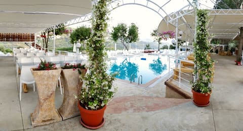 Venus Resto Pool — photograph 6