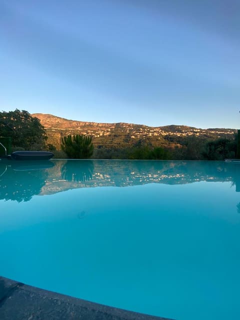 Black Orchid (BO) — photograph 3