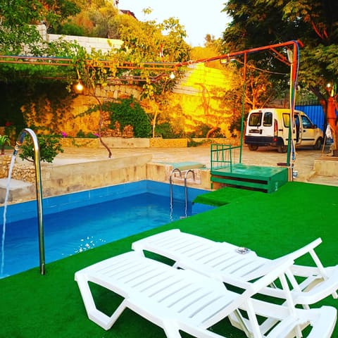 Nut park — photograph 2