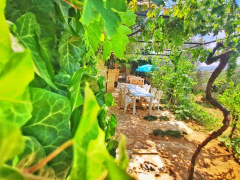 Nut park — photograph 3