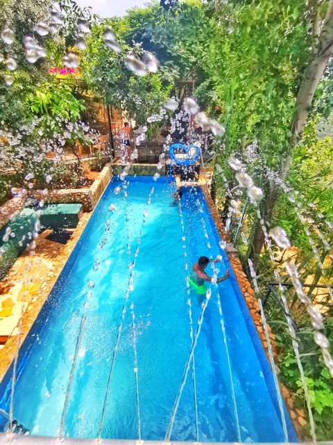 Nut park — photograph 5