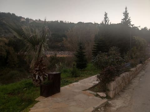 Abey Public Park — photograph 3