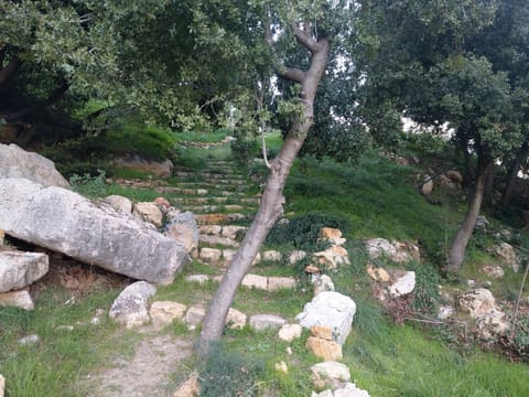 Public Park Bnaiyye — photograph 5