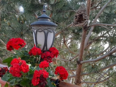 Ayn Mezher Spring — photograph 2