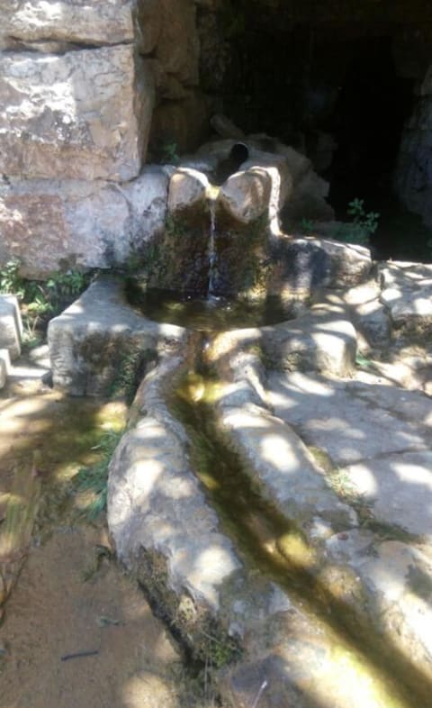 Ayn Mezher Spring — photograph 3
