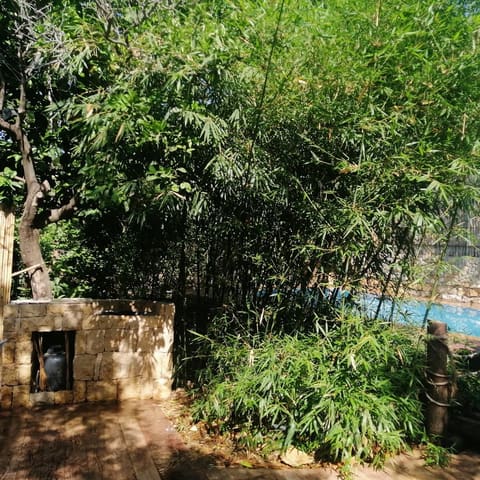 Gemini private pool — photograph 5