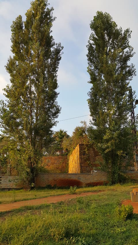 Nadi Al Hashish — photograph 2