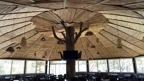 Al Hawra - Restaurant — photograph 3