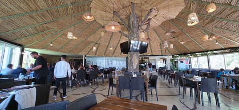Al Hawra - Restaurant — photograph 5