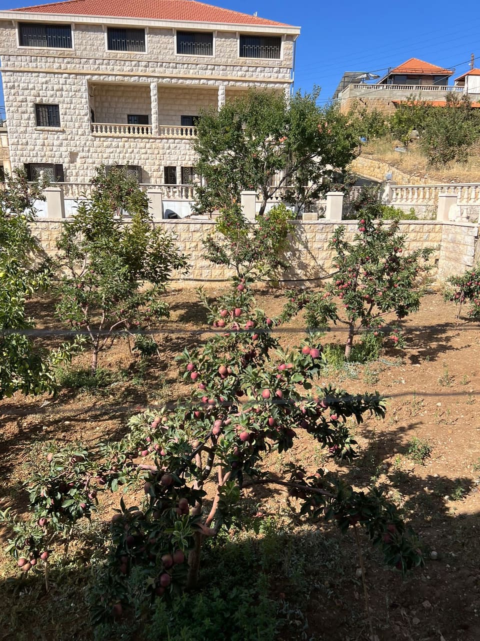Bayt el Hara