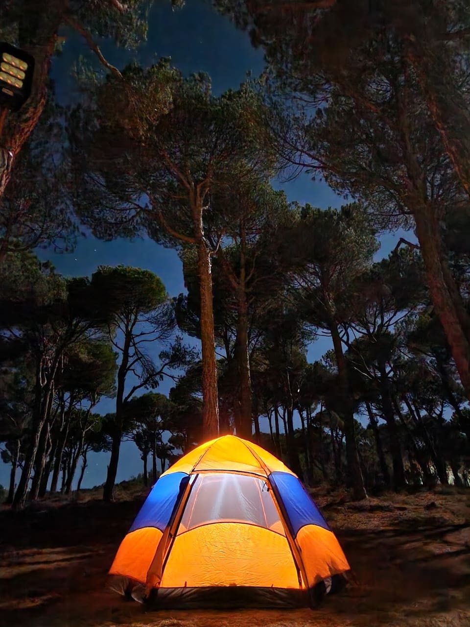 Greenpine Campsite