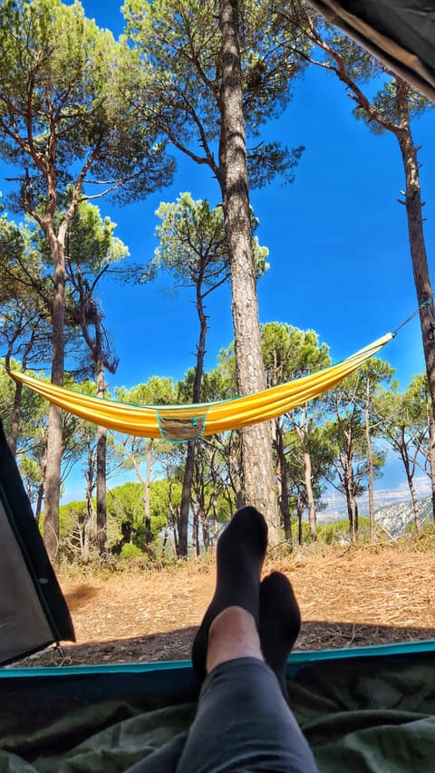 Greenpine Campsite — photograph 4