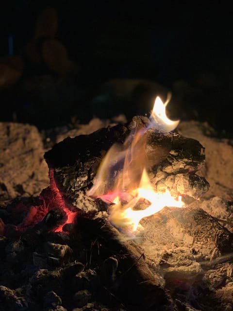 Greenpine Campsite — photograph 5