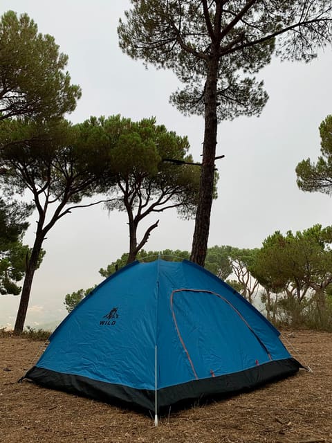 Greenpine Campsite — photograph 6