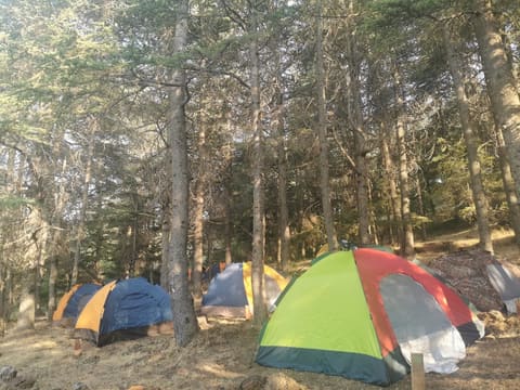 Arzat camping — photograph 4