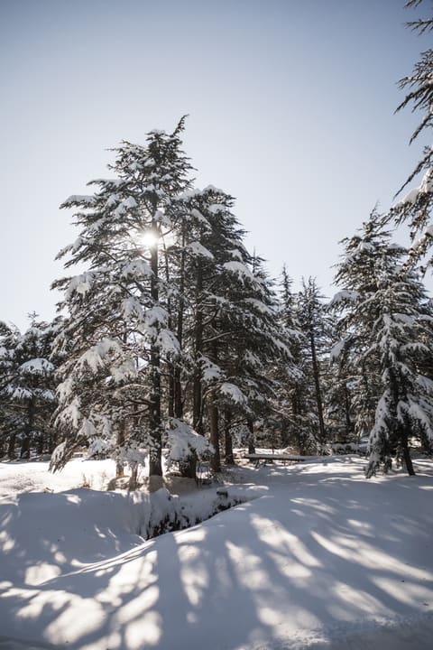 Arzat camping — photograph 6